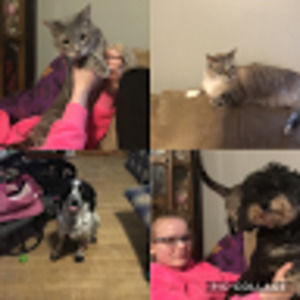 Meet your Posher, Nevaeh